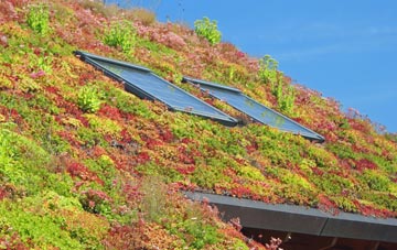 Allaleigh living roof systems
